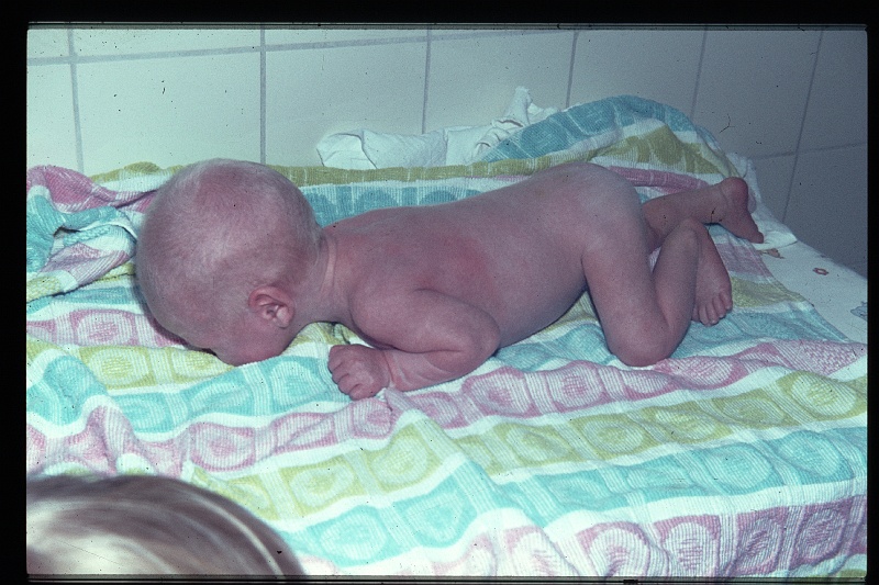 19.Delft aug 1965 Peter.JPG